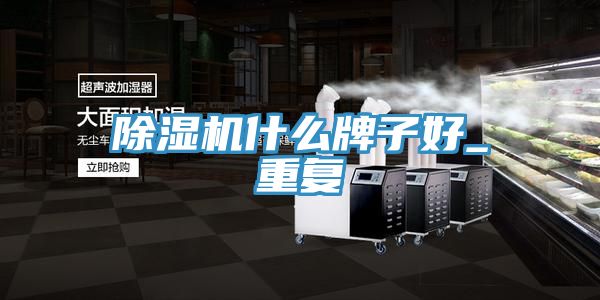 除濕機什么牌子好_重復(fù)