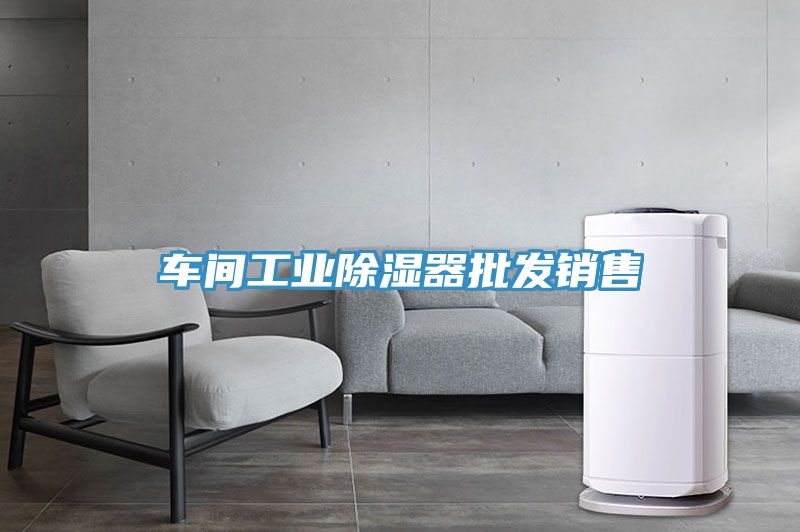 車間工業除濕器批發銷售