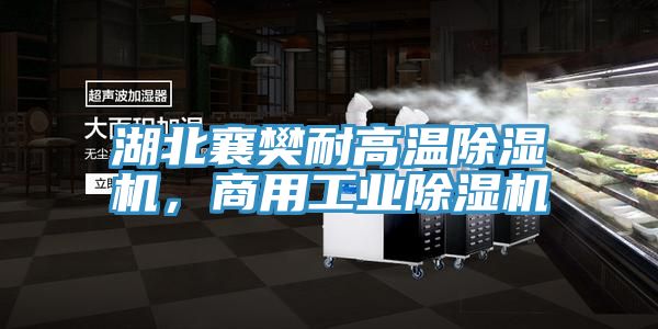 湖北襄樊耐高溫除濕機，商用工業(yè)除濕機