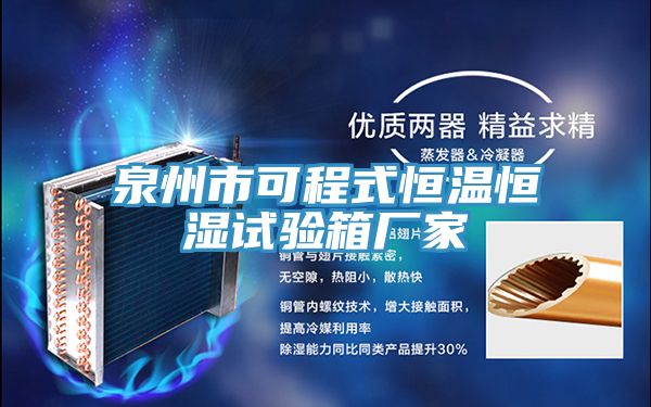 泉州市可程式恒溫恒濕試驗箱廠家