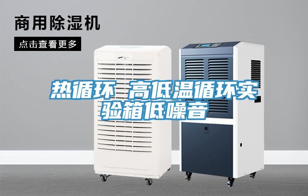 熱循環(huán) 高低溫循環(huán)實驗箱低噪音
