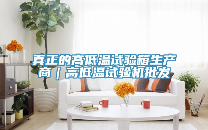 真正的高低溫試驗箱生產商｜高低溫試驗機批發
