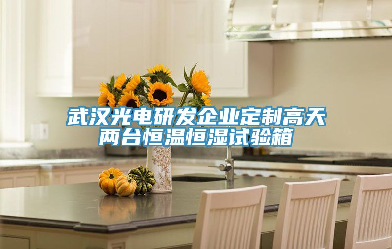 武漢光電研發企業定制高天兩臺恒溫恒濕試驗箱