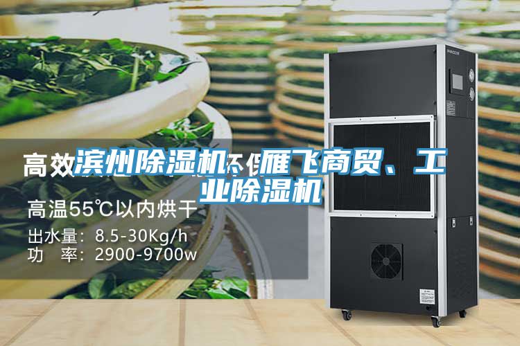 濱州除濕機、雁飛商貿(mào)、工業(yè)除濕機