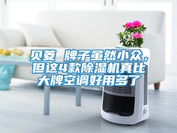 貝菱 牌子雖然小眾，但這4款除濕機真比大牌空調好用多了