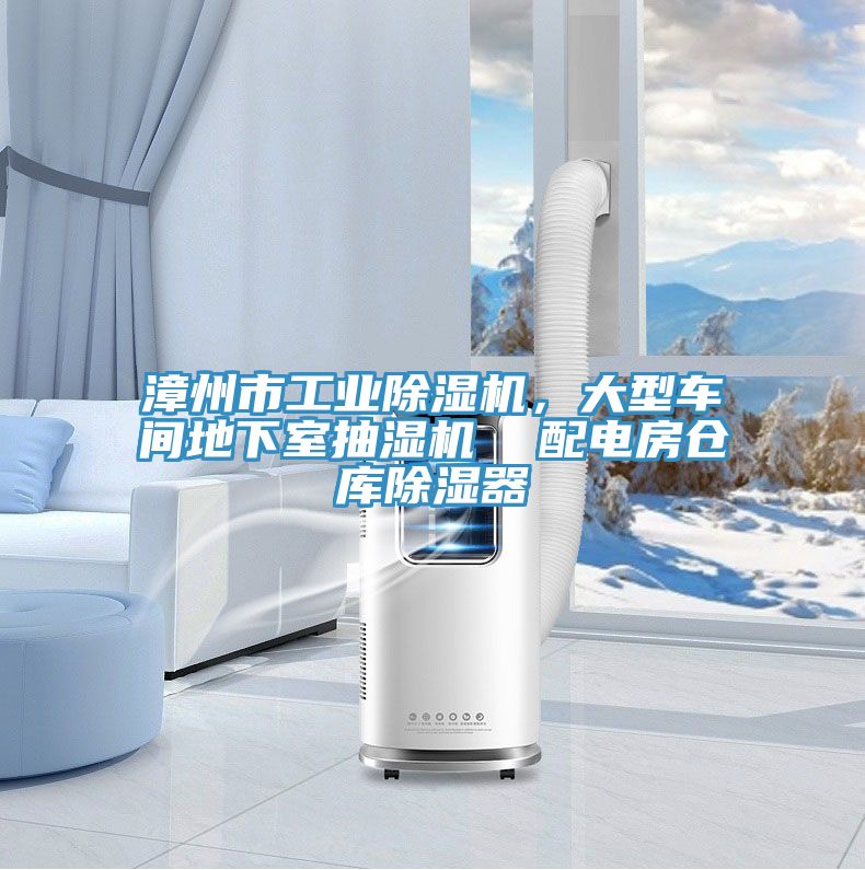 漳州市工業(yè)除濕機，大型車間地下室抽濕機  配電房倉庫除濕器