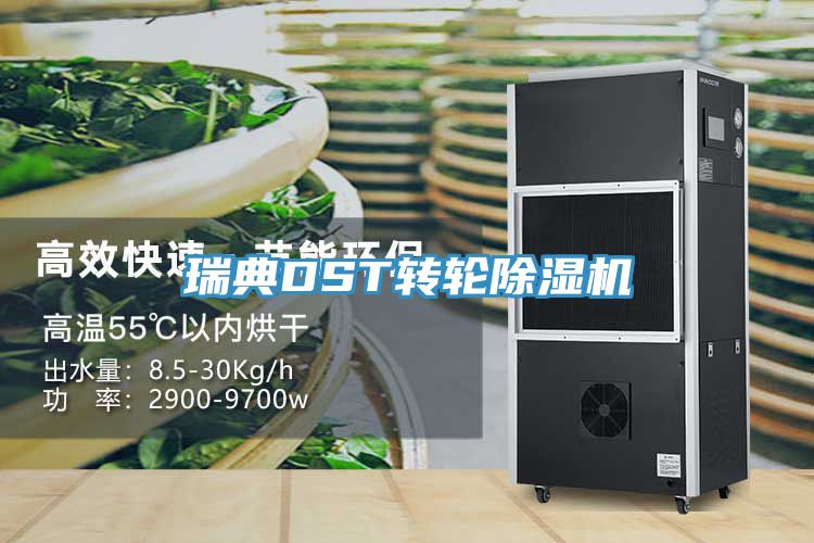 瑞典DST轉輪除濕機