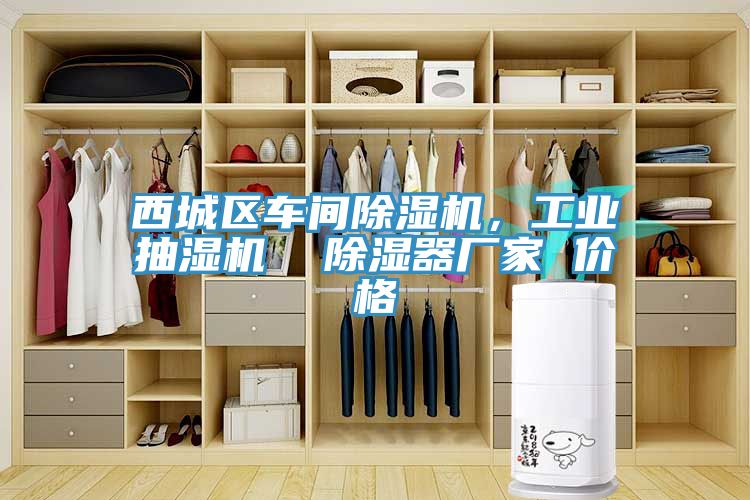 西城區車間除濕機，工業抽濕機  除濕器廠家 價格
