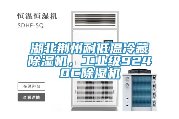 湖北荊州耐低溫冷藏除濕機(jī)，工業(yè)級(jí)9240C除濕機(jī)