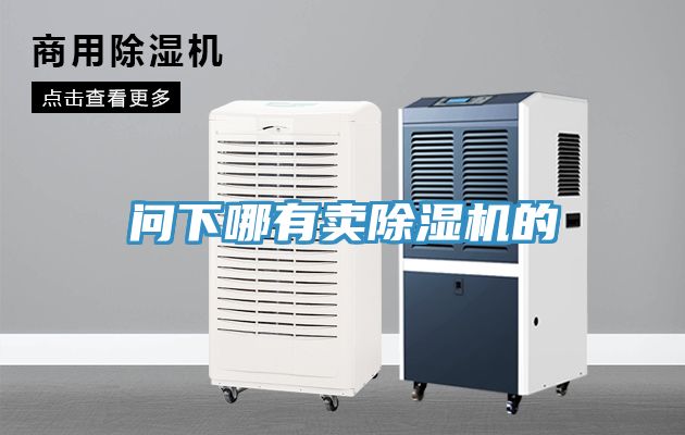 問(wèn)下哪有賣除濕機(jī)的