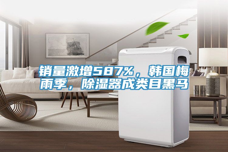 銷量激增587%,韓國梅雨季,除濕器成類目黑馬