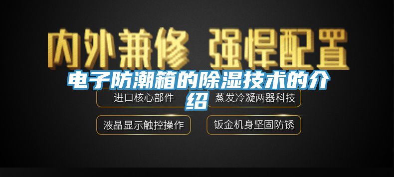 電子防潮箱的除濕技術的介紹