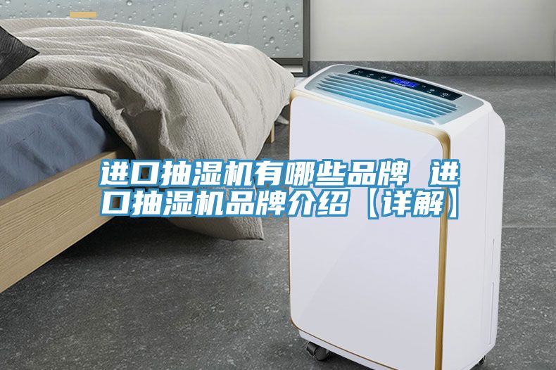 進(jìn)口抽濕機(jī)有哪些品牌 進(jìn)口抽濕機(jī)品牌介紹【詳解】