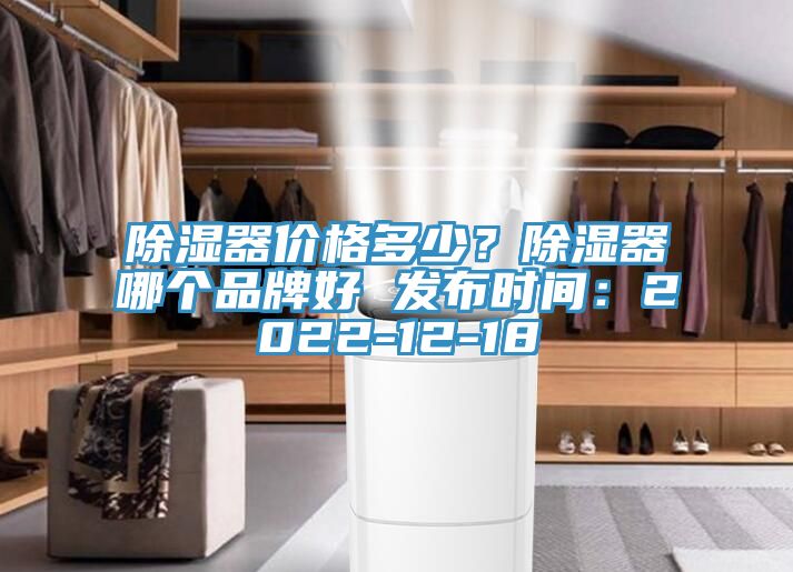 除濕器價格多少？除濕器哪個品牌好 發(fā)布時間：2022-12-18