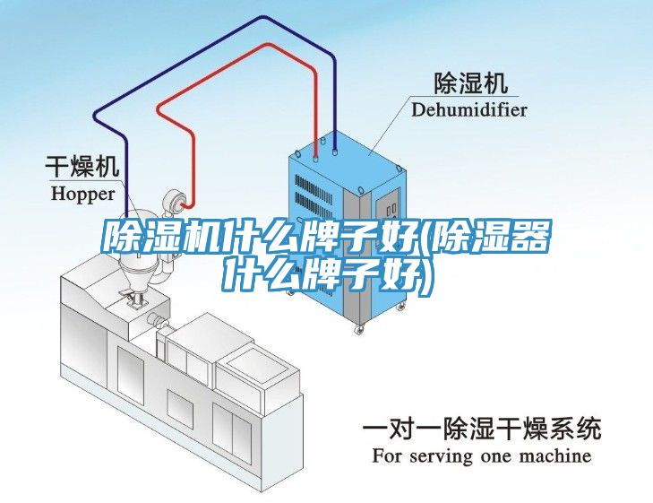 除濕機什么牌子好(除濕器什么牌子好)