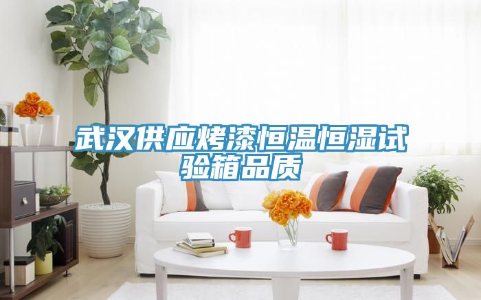 武漢供應烤漆恒溫恒濕試驗箱品質