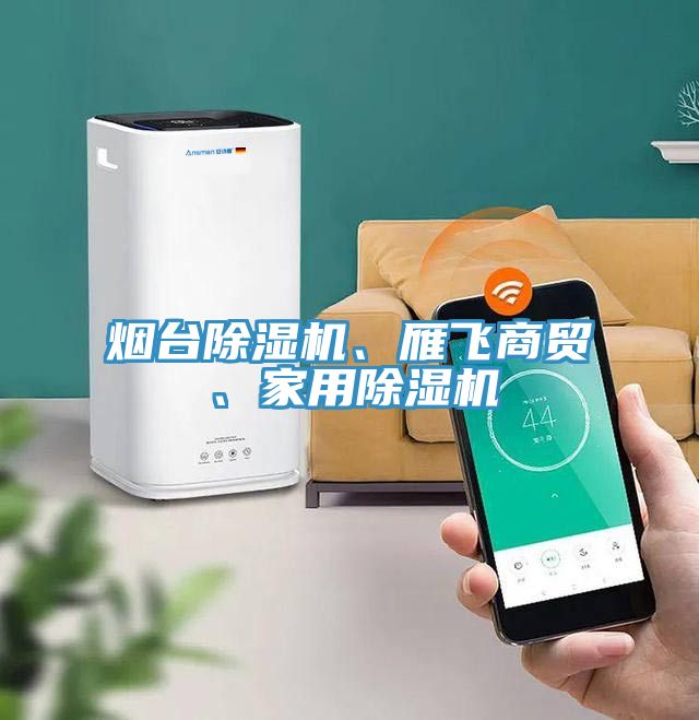 煙臺除濕機、雁飛商貿、家用除濕機