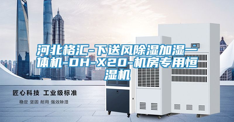 河北格匯-下送風(fēng)除濕加濕一體機(jī)-DH-X20-機(jī)房專(zhuān)用恒濕機(jī)