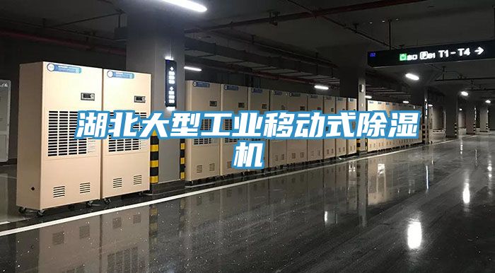 湖北大型工業(yè)移動(dòng)式除濕機(jī)