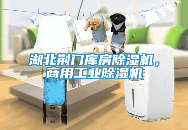 湖北荊門庫房除濕機，商用工業(yè)除濕機