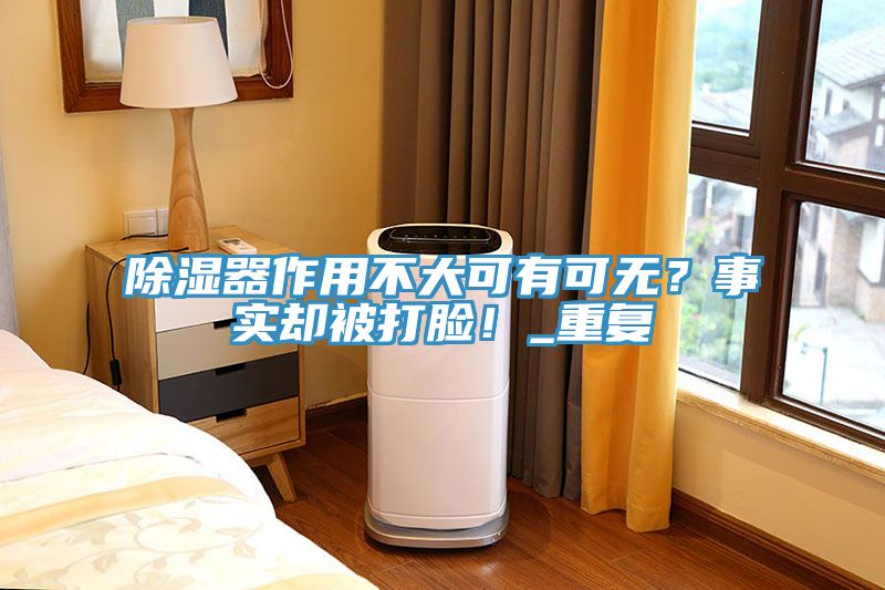 除濕器作用不大可有可無？事實卻被打臉！_重復