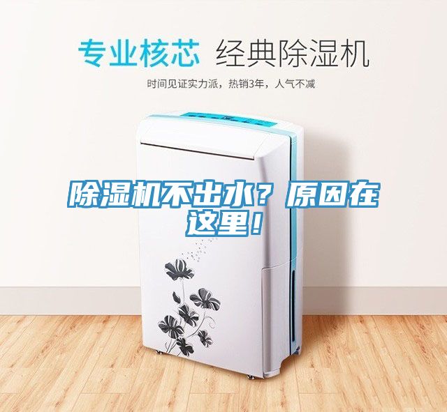 除濕機不出水?原因在這里!