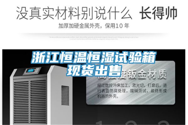浙江恒溫恒濕試驗箱現貨出售