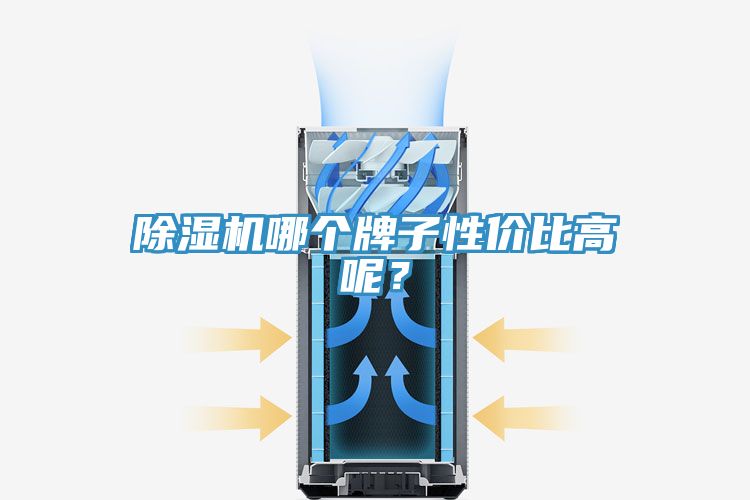 除濕機哪個牌子性價比高呢？
