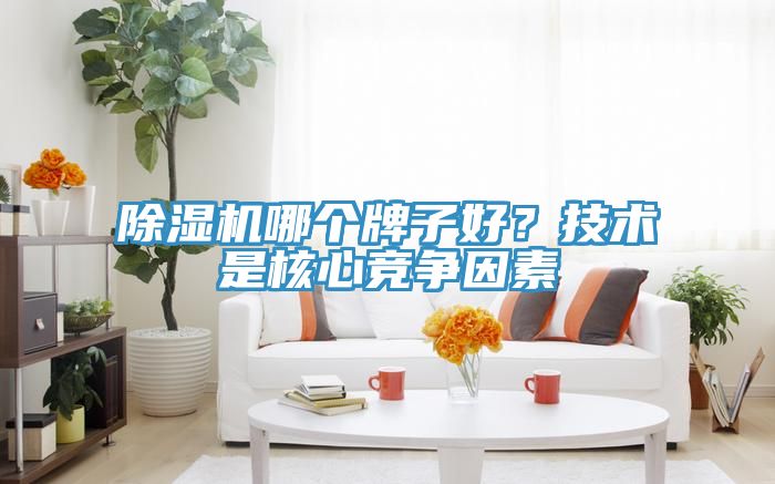 除濕機哪個牌子好?技術是核心競爭因素