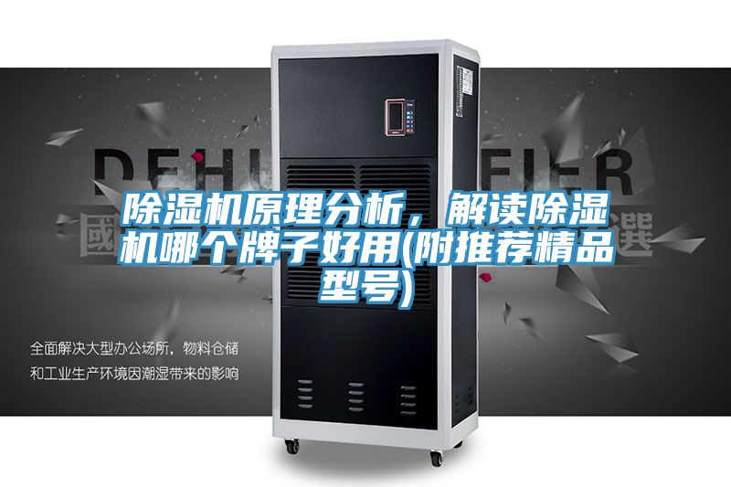 除濕機原理分析，解讀除濕機哪個牌子好用(附推薦精品型號)