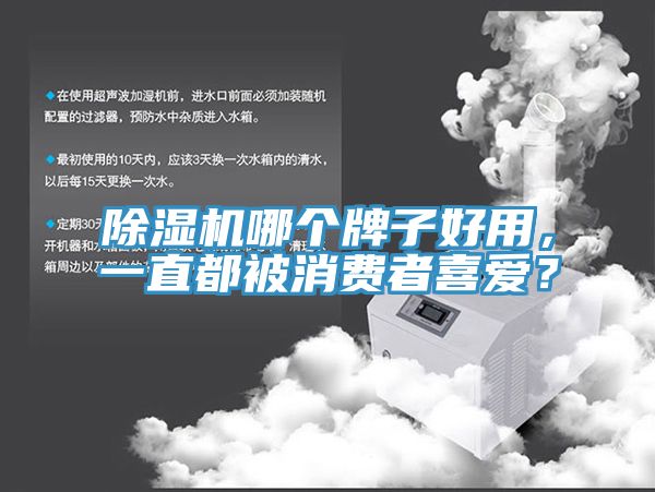 除濕機哪個牌子好用,一直都被消費者喜愛?