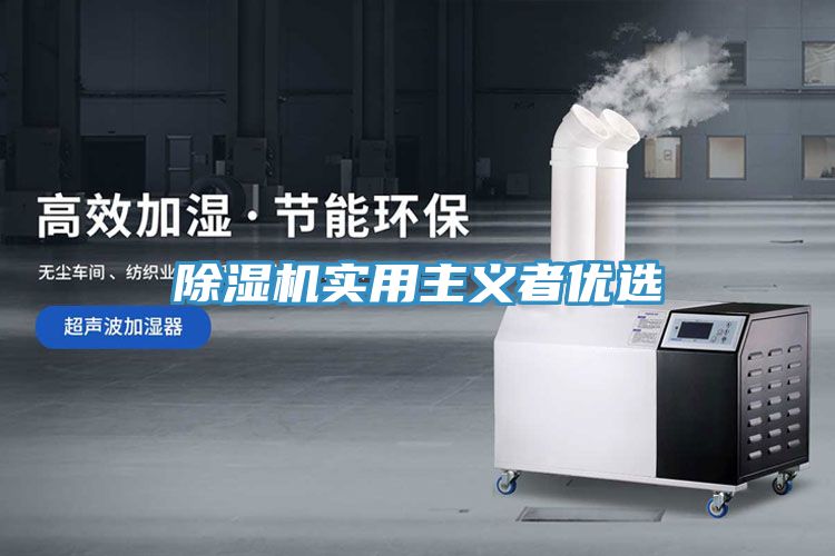 除濕機實用主義者優選