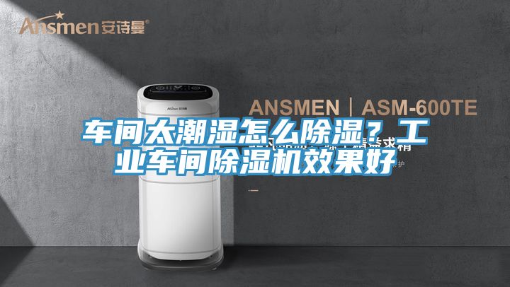車間太潮濕怎么除濕？工業車間除濕機效果好