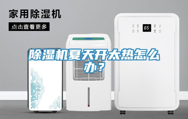 除濕機夏天開太熱怎么辦?