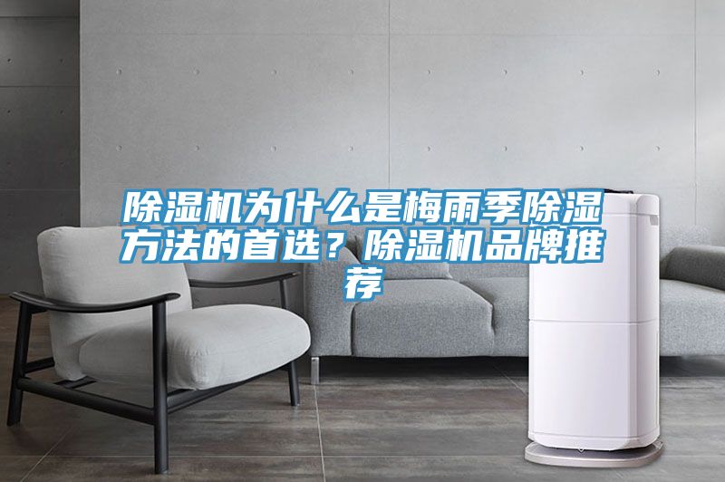 除濕機為什么是梅雨季除濕方法的首選？除濕機品牌推薦