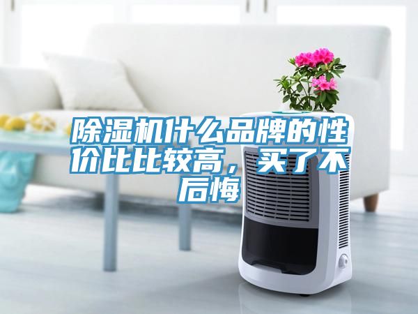 除濕機什么品牌的性價比比較高,買了不后悔