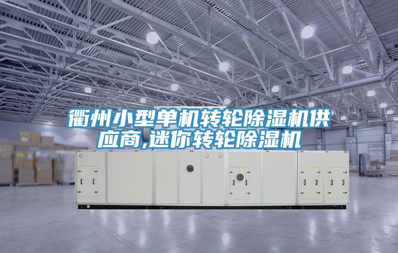 衢州小型單機轉輪除濕機供應商,迷你轉輪除濕機