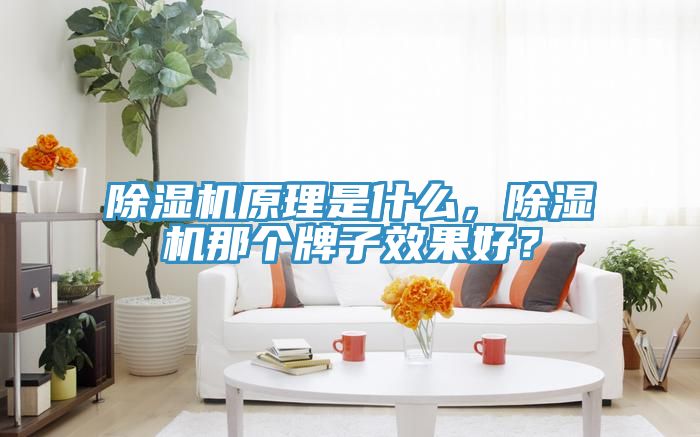 除濕機原理是什么，除濕機那個牌子效果好？