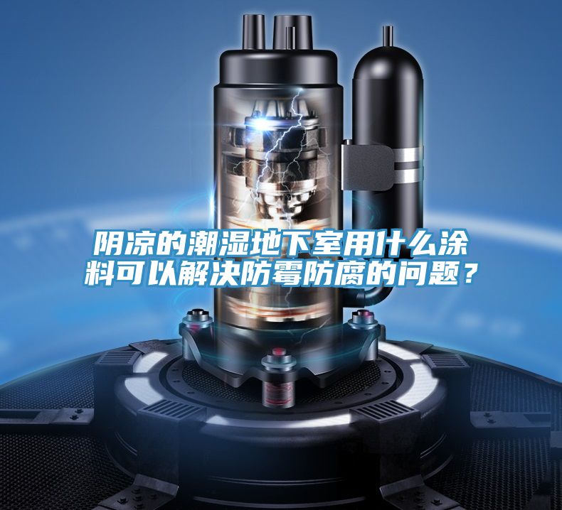 陰涼的潮濕地下室用什么涂料可以解決防霉防腐的問(wèn)題？