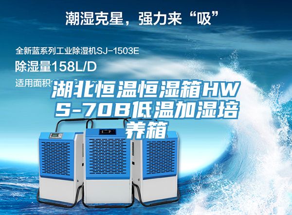 湖北恒溫恒濕箱HWS-70B低溫加濕培養箱