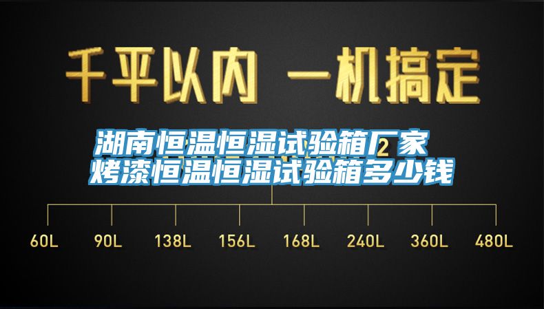 湖南恒溫恒濕試驗(yàn)箱廠家 烤漆恒溫恒濕試驗(yàn)箱多少錢