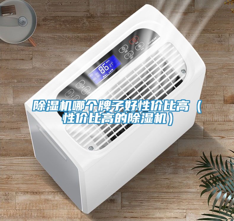除濕機哪個牌子好性價比高(性價比高的除濕機)