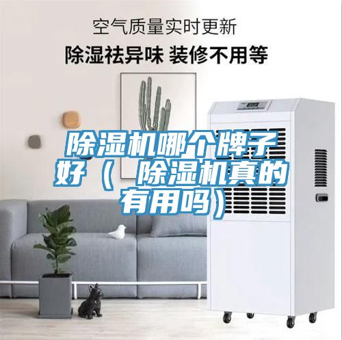 除濕機哪個牌子好( 除濕機真的有用嗎)