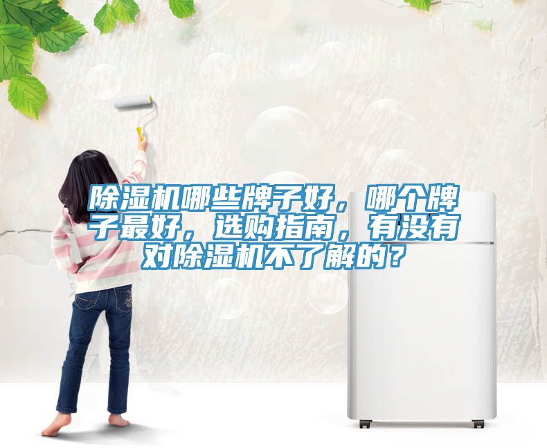 除濕機(jī)哪些牌子好，哪個(gè)牌子最好，選購(gòu)指南，有沒(méi)有對(duì)除濕機(jī)不了解的？