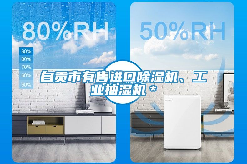 自貢市有售進口除濕機、工業抽濕機＊