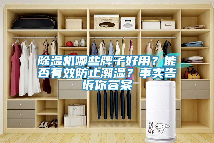 除濕機(jī)哪些牌子好用？能否有效防止潮濕？事實(shí)告訴你答案