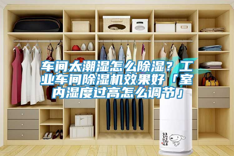 車間太潮濕怎么除濕？工業車間除濕機效果好「室內濕度過高怎么調節」