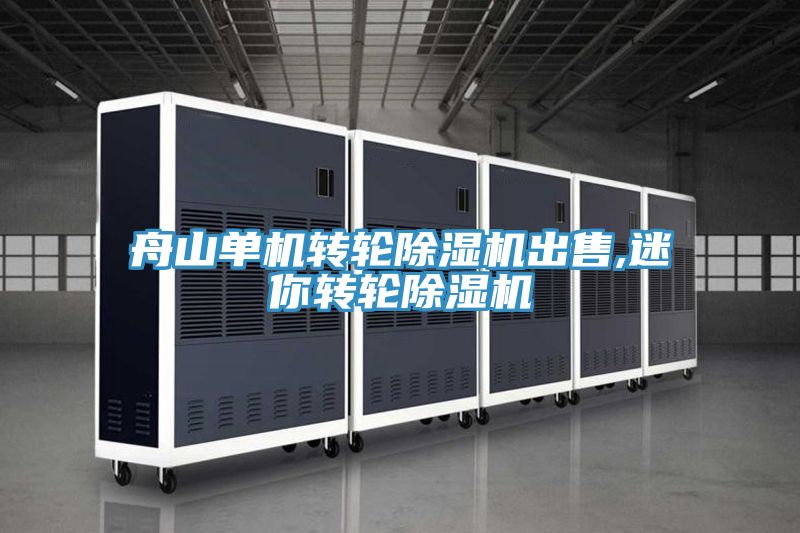 舟山單機轉輪除濕機出售,迷你轉輪除濕機