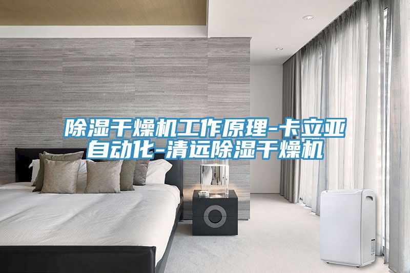 除濕干燥機工作原理-卡立亞自動化-清遠(yuǎn)除濕干燥機