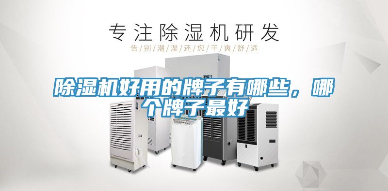 除濕機好用的牌子有哪些,哪個牌子最好